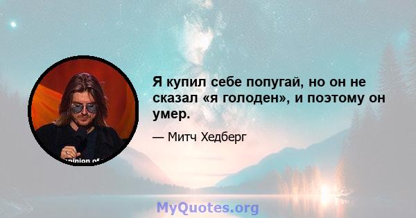 Я купил себе попугай, но он не сказал «я голоден», и поэтому он умер.