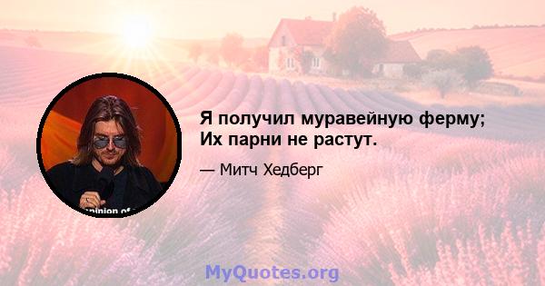 Я получил муравейную ферму; Их парни не растут.