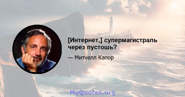 [Интернет,] супермагистраль через пустошь?