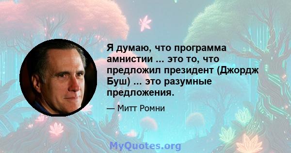 Я думаю, что программа амнистии ... это то, что предложил президент (Джордж Буш) ... это разумные предложения.