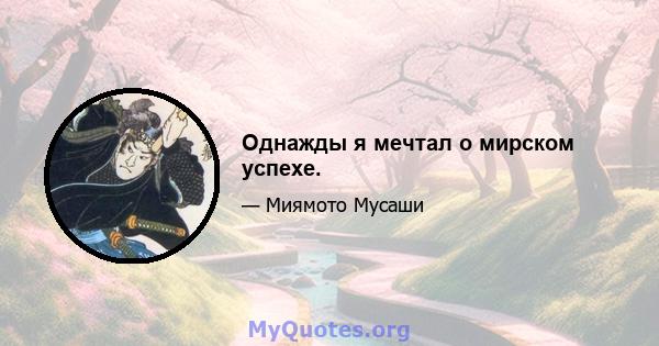 Однажды я мечтал о мирском успехе.