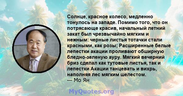 Солнце, красное колесо, медленно тонулось на западе. Помимо того, что он потрясающе красив, начальный летний закат был чрезвычайно мягким и нежным: черные листья тотачки стали красными, как розы; Расширенные белые