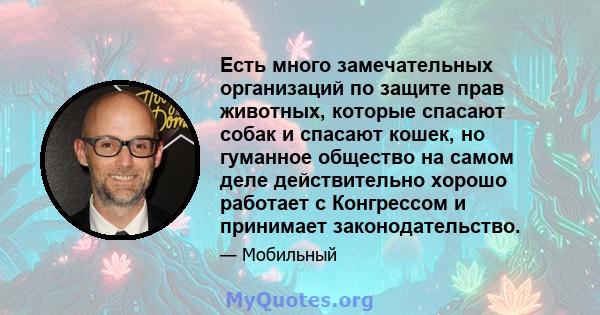 Есть много замечательных организаций по защите прав животных, которые спасают собак и спасают кошек, но гуманное общество на самом деле действительно хорошо работает с Конгрессом и принимает законодательство.