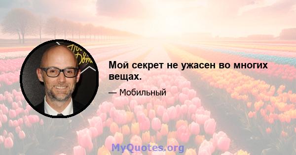 Мой секрет не ужасен во многих вещах.