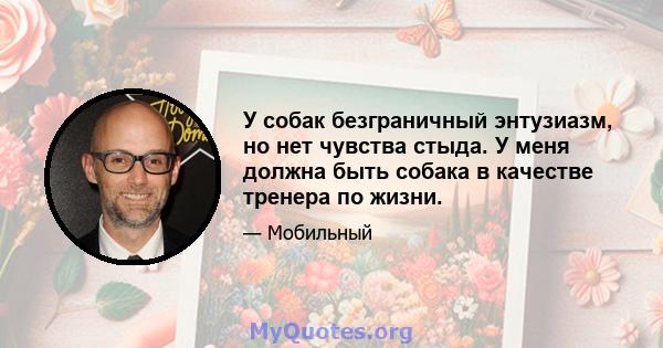 У собак безграничный энтузиазм, но нет чувства стыда. У меня должна быть собака в качестве тренера по жизни.