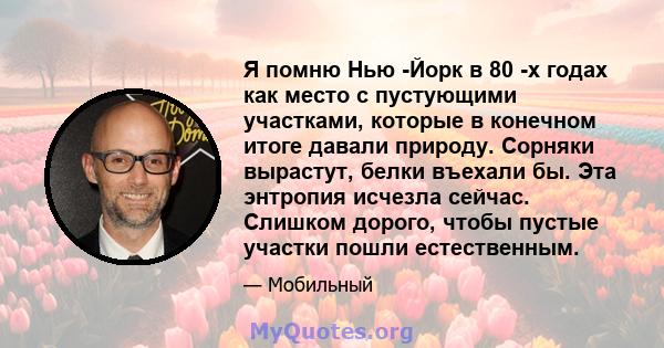 Я помню Нью -Йорк в 80 -х годах как место с пустующими участками, которые в конечном итоге давали природу. Сорняки вырастут, белки въехали бы. Эта энтропия исчезла сейчас. Слишком дорого, чтобы пустые участки пошли