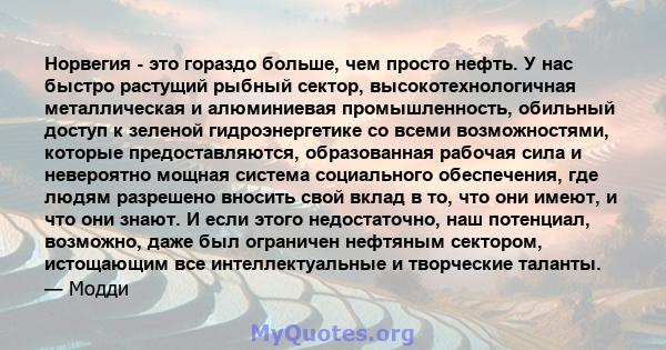 Норвегия - это гораздо больше, чем просто нефть. У нас быстро растущий рыбный сектор, высокотехнологичная металлическая и алюминиевая промышленность, обильный доступ к зеленой гидроэнергетике со всеми возможностями,