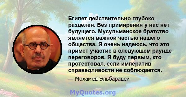 Египет действительно глубоко разделен. Без примирения у нас нет будущего. Мусульманское братство является важной частью нашего общества. Я очень надеюсь, что это примет участие в следующем раунде переговоров. Я буду