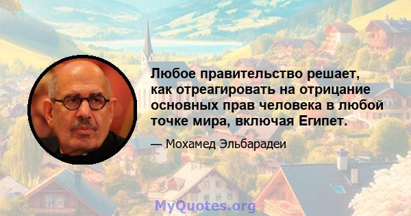 Любое правительство решает, как отреагировать на отрицание основных прав человека в любой точке мира, включая Египет.