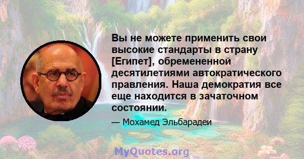 Вы не можете применить свои высокие стандарты в страну [Египет], обремененной десятилетиями автократического правления. Наша демократия все еще находится в зачаточном состоянии.