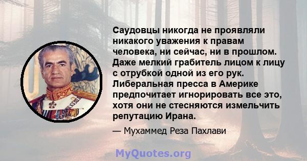 Саудовцы никогда не проявляли никакого уважения к правам человека, ни сейчас, ни в прошлом. Даже мелкий грабитель лицом к лицу с отрубкой одной из его рук. Либеральная пресса в Америке предпочитает игнорировать все это, 