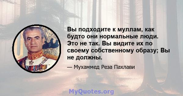 Вы подходите к муллам, как будто они нормальные люди. Это не так. Вы видите их по своему собственному образу; Вы не должны.