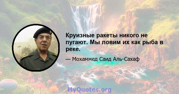 Круизные ракеты никого не пугают. Мы ловим их как рыба в реке.