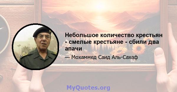 Небольшое количество крестьян - смелые крестьяне - сбили два апачи