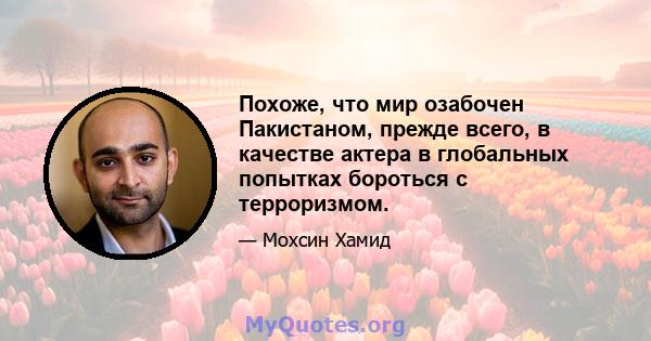 Похоже, что мир озабочен Пакистаном, прежде всего, в качестве актера в глобальных попытках бороться с терроризмом.