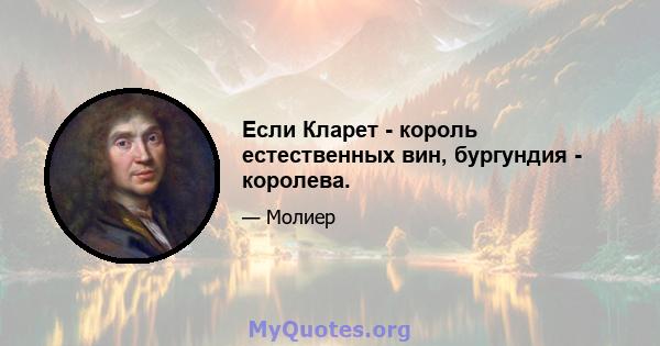 Если Кларет - король естественных вин, бургундия - королева.