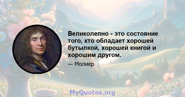 Великолепно - это состояние того, кто обладает хорошей бутылкой, хорошей книгой и хорошим другом.