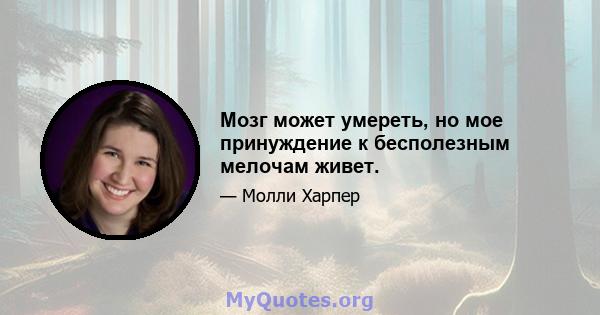 Мозг может умереть, но мое принуждение к бесполезным мелочам живет.