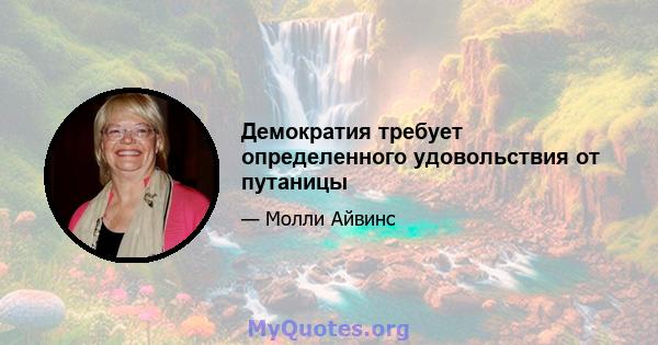 Демократия требует определенного удовольствия от путаницы