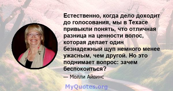 Естественно, когда дело доходит до голосования, мы в Техасе привыкли понять, что отличная разница на ценности волос, которая делает один безнадежный щуп немного менее ужасным, чем другой. Но это поднимает вопрос: зачем