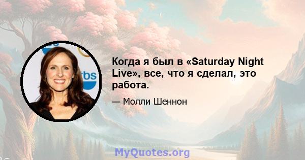 Когда я был в «Saturday Night Live», все, что я сделал, это работа.