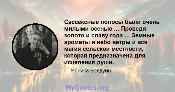 Сассексные полосы были очень милыми осенью ... Проведя золото и славу года ... Земные ароматы и небо ветры и вся магия сельской местности, которая предназначена для исцеления души.