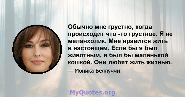 Обычно мне грустно, когда происходит что -то грустное. Я не меланхолик. Мне нравится жить в настоящем. Если бы я был животным, я был бы маленькой кошкой. Они любят жить жизнью.