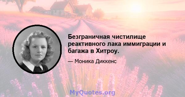 Безграничная чистилище реактивного лака иммиграции и багажа в Хитроу.