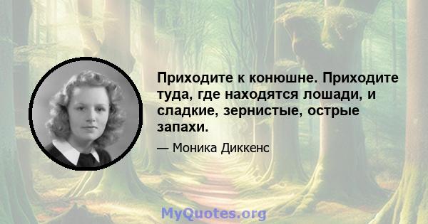 Приходите к конюшне. Приходите туда, где находятся лошади, и сладкие, зернистые, острые запахи.