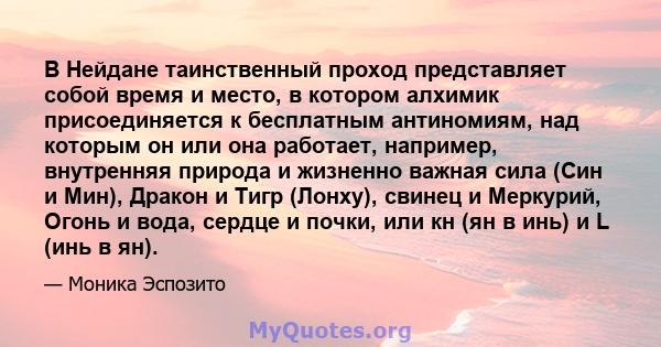 В Нейдане таинственный проход представляет собой время и место, в котором алхимик присоединяется к бесплатным антиномиям, над которым он или она работает, например, внутренняя природа и жизненно важная сила (Син и Мин), 