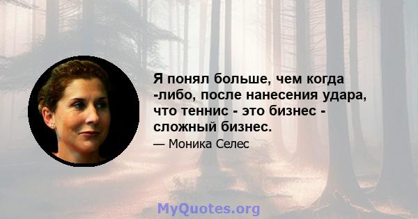 Я понял больше, чем когда -либо, после нанесения удара, что теннис - это бизнес - сложный бизнес.