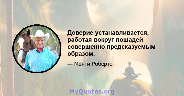 Доверие устанавливается, работая вокруг лошадей совершенно предсказуемым образом.