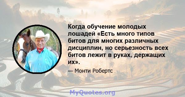 Когда обучение молодых лошадей «Есть много типов битов для многих различных дисциплин, но серьезность всех битов лежит в руках, держащих их».