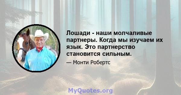 Лошади - наши молчаливые партнеры. Когда мы изучаем их язык. Это партнерство становится сильным.