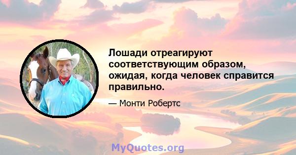 Лошади отреагируют соответствующим образом, ожидая, когда человек справится правильно.