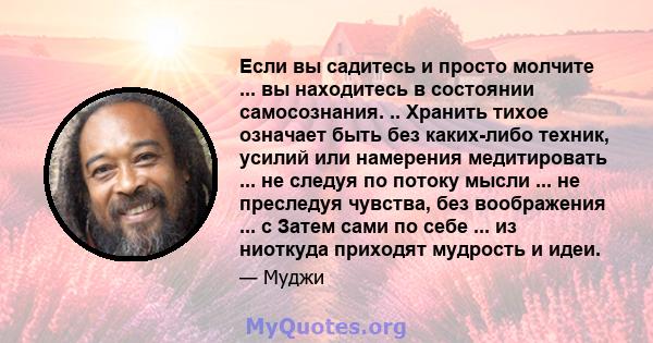 Если вы садитесь и просто молчите ... вы находитесь в состоянии самосознания. .. Хранить тихое означает быть без каких-либо техник, усилий или намерения медитировать ... не следуя по потоку мысли ... не преследуя