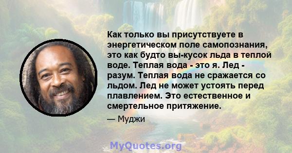 Как только вы присутствуете в энергетическом поле самопознания, это как будто вы-кусок льда в теплой воде. Теплая вода - это я. Лед - разум. Теплая вода не сражается со льдом. Лед не может устоять перед плавлением. Это