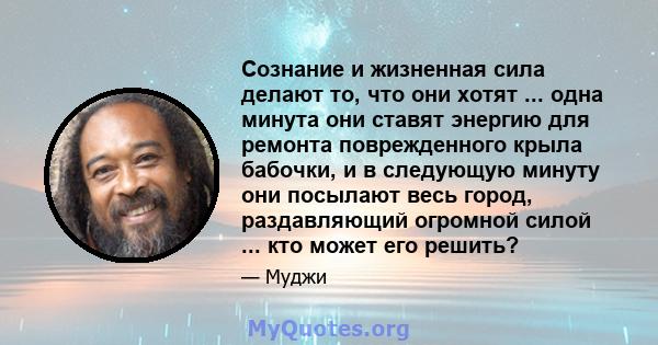 Сознание и жизненная сила делают то, что они хотят ... одна минута они ставят энергию для ремонта поврежденного крыла бабочки, и в следующую минуту они посылают весь город, раздавляющий огромной силой ... кто может его