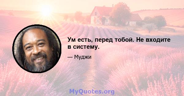 Ум есть, перед тобой. Не входите в систему.