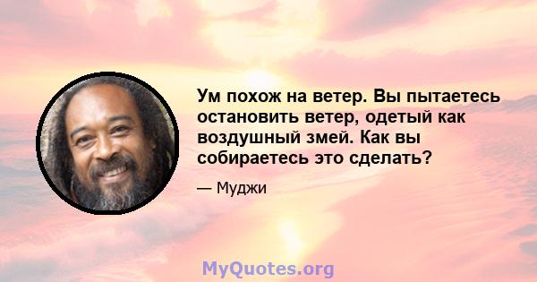 Ум похож на ветер. Вы пытаетесь остановить ветер, одетый как воздушный змей. Как вы собираетесь это сделать?