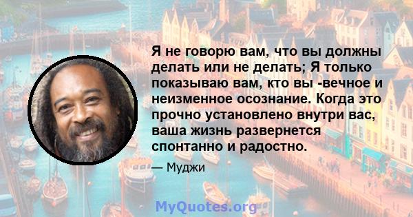 Я не говорю вам, что вы должны делать или не делать; Я только показываю вам, кто вы -вечное и неизменное осознание. Когда это прочно установлено внутри вас, ваша жизнь развернется спонтанно и радостно.