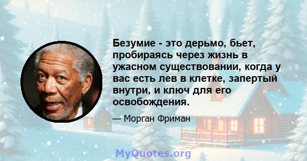 Безумие - это дерьмо, бьет, пробираясь через жизнь в ужасном существовании, когда у вас есть лев в клетке, запертый внутри, и ключ для его освобождения.