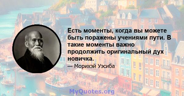 Есть моменты, когда вы можете быть поражены учениями пути. В такие моменты важно продолжить оригинальный дух новичка.