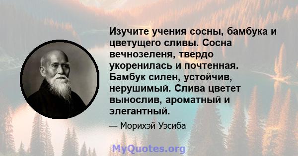 Изучите учения сосны, бамбука и цветущего сливы. Сосна вечнозеленя, твердо укоренилась и почтенная. Бамбук силен, устойчив, нерушимый. Слива цветет вынослив, ароматный и элегантный.