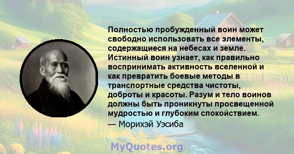 Полностью пробужденный воин может свободно использовать все элементы, содержащиеся на небесах и земле. Истинный воин узнает, как правильно воспринимать активность вселенной и как превратить боевые методы в транспортные