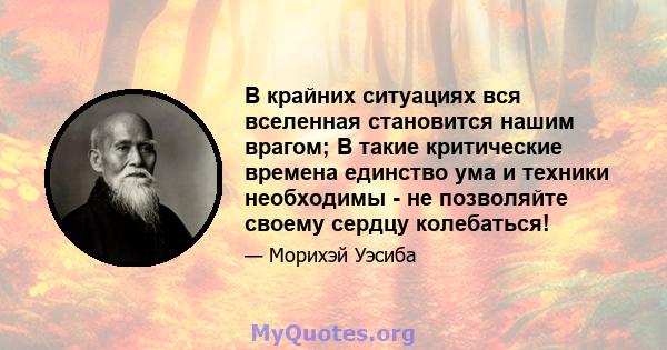 В крайних ситуациях вся вселенная становится нашим врагом; В такие критические времена единство ума и техники необходимы - не позволяйте своему сердцу колебаться!