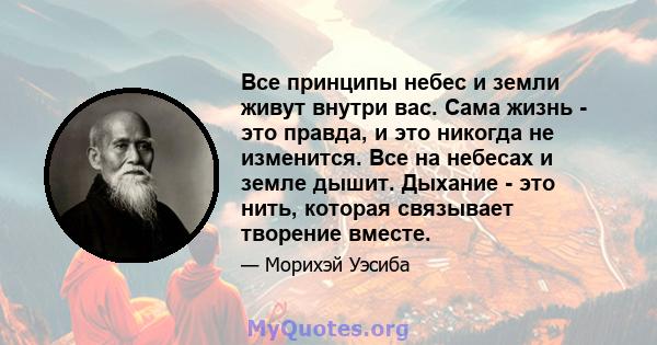 Все принципы небес и земли живут внутри вас. Сама жизнь - это правда, и это никогда не изменится. Все на небесах и земле дышит. Дыхание - это нить, которая связывает творение вместе.