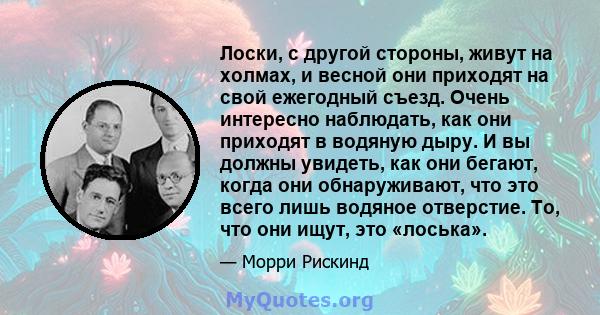 Лоски, с другой стороны, живут на холмах, и весной они приходят на свой ежегодный съезд. Очень интересно наблюдать, как они приходят в водяную дыру. И вы должны увидеть, как они бегают, когда они обнаруживают, что это