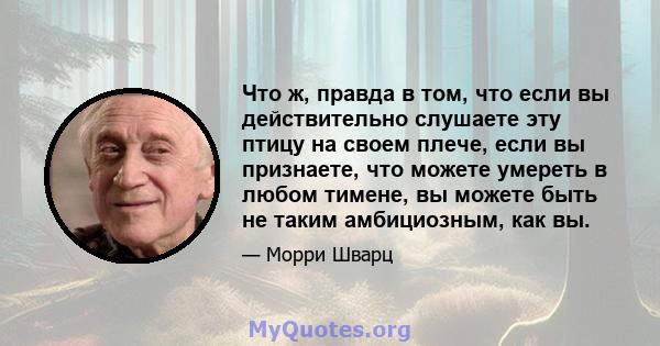 Что ж, правда в том, что если вы действительно слушаете эту птицу на своем плече, если вы признаете, что можете умереть в любом тимене, вы можете быть не таким амбициозным, как вы.