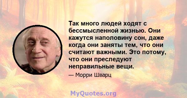 Так много людей ходят с бессмысленной жизнью. Они кажутся наполовину сон, даже когда они заняты тем, что они считают важными. Это потому, что они преследуют неправильные вещи.